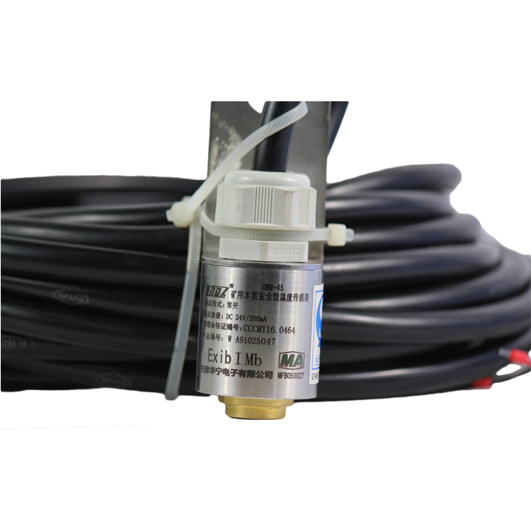 天津华宁GWM-45-W矿用本质安全型温度传感器