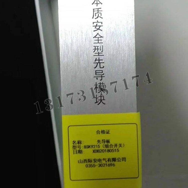 山西际安先导板8SK9215本质**型先导模块（组合开关）-1.jpg