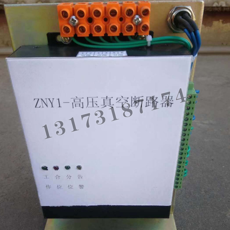ZNY1高压真空断路器-1.jpg