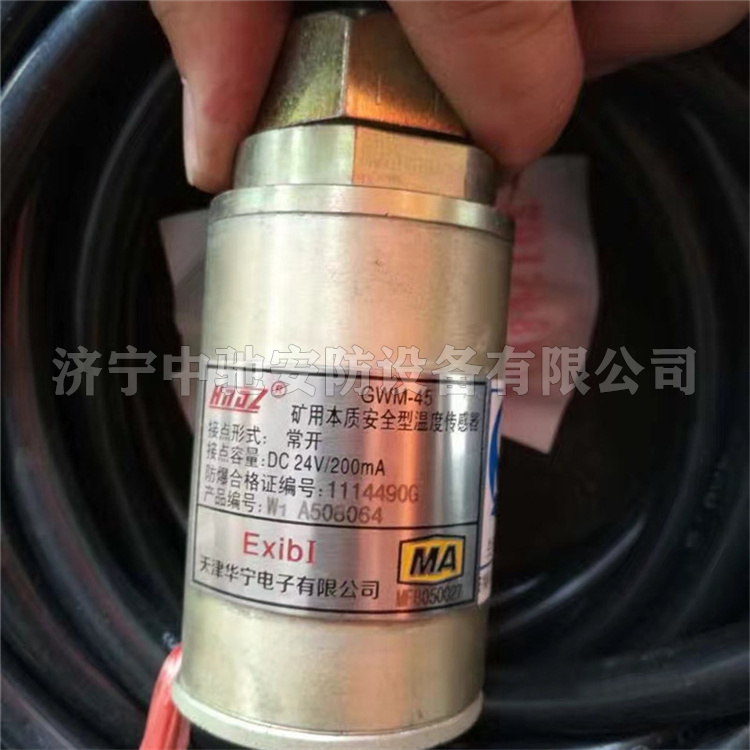 天津华宁GWM-45矿用本质**型温度传感器-1.jpg