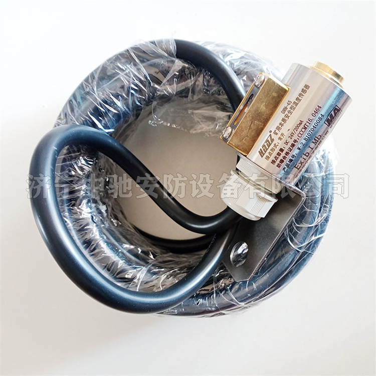 天津华宁GWM-45-W2矿用本质**型温度传感器-3.jpg