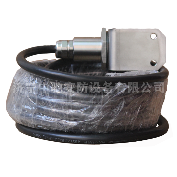 天津华宁GWH300-W矿用本质**型温度传感器 (1).png