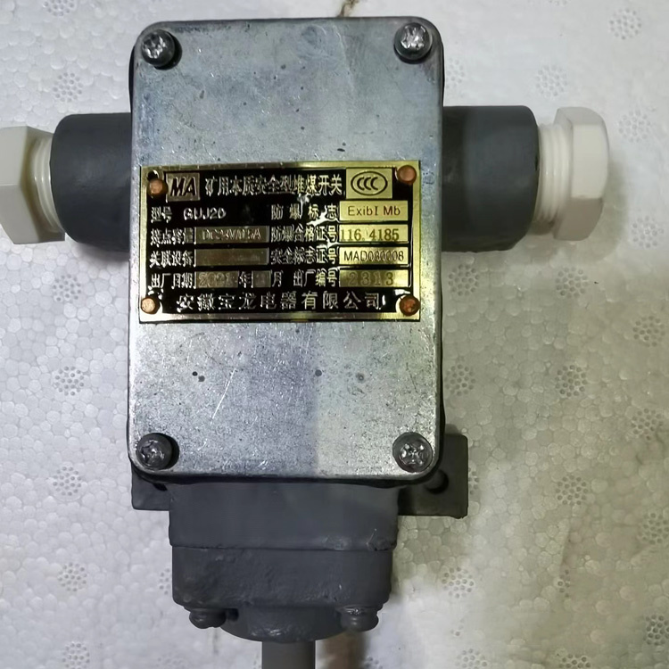 安徽宝龙GUJ20矿用本质**型堆煤开关-3.jpg