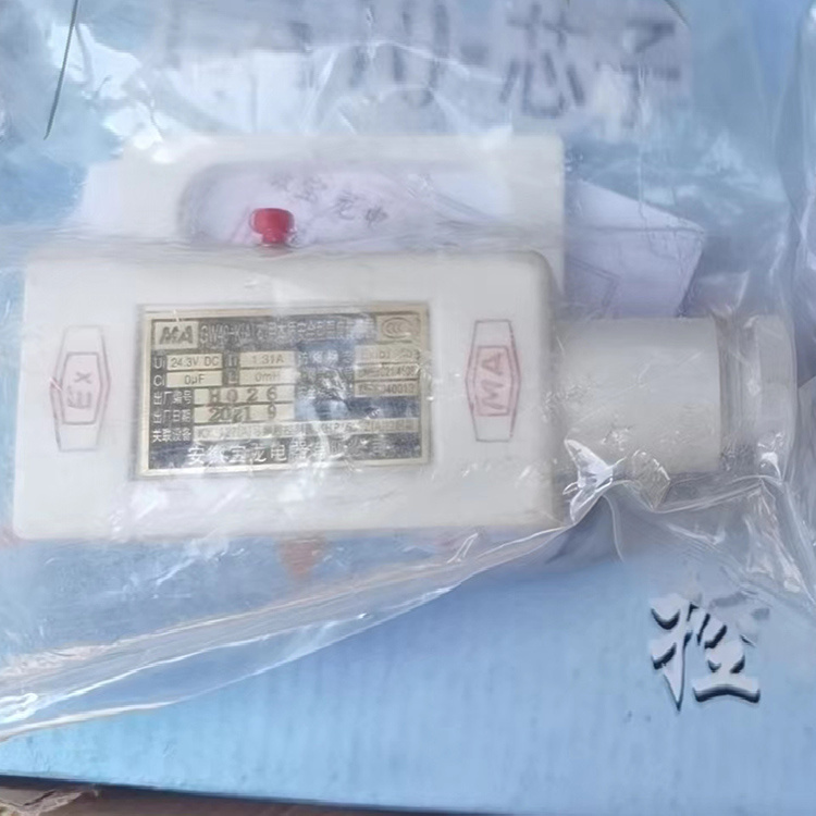 安徽宝龙GW40-K(A)矿用本质**型温度传感器-3.jpg