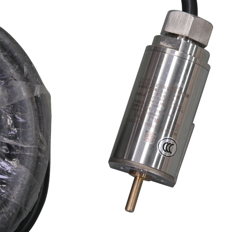 天津华宁GWD100矿用本安型温度传感器(9).png